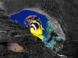 please respect my copyright, thank you!