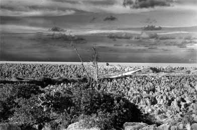 In the middle of the island