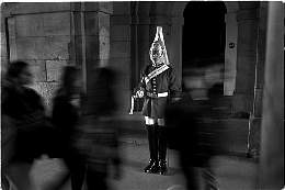 ---The guard---please respect my copyright,thank you!