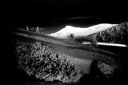 Yosemite National Park