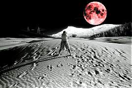 please respect my copyright, thank you!