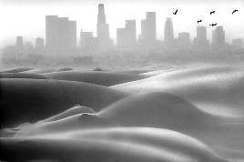 please respect my copyright, thank you!