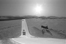 please respect my copyright, thank you!