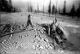 please respect my copyright, thank you!